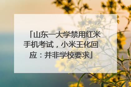 山东一大学禁用红米手机考试，小米王化回应：并非学校要求